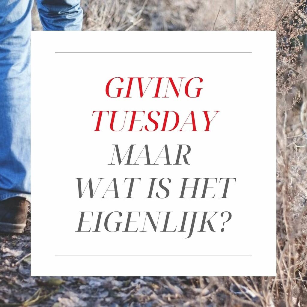 wat is giving tuesday