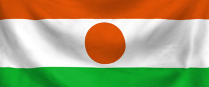 vlag van Niger